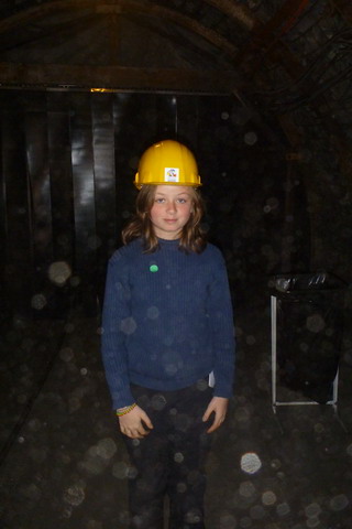 P1050386 small Lewarde, visite du musée minier
