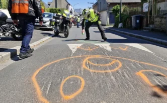 Dos d'ane colorisé à Yvetôt