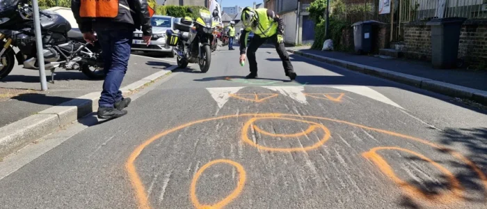 Dos d'ane colorisé à Yvetôt